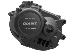GIANT Entour E+ syncdrive