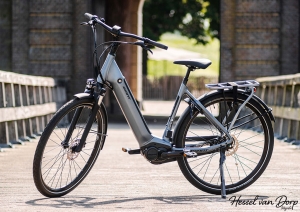 GIANT Dailytour E+