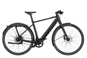 Riese & Müller UBN Five