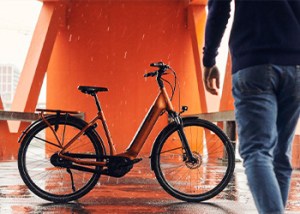 elektrische fietsen