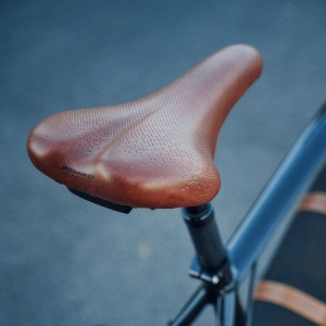 Riese & Müller Cruiser2 retro e-bike