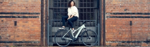 Riese & Müller Roadster Mixte