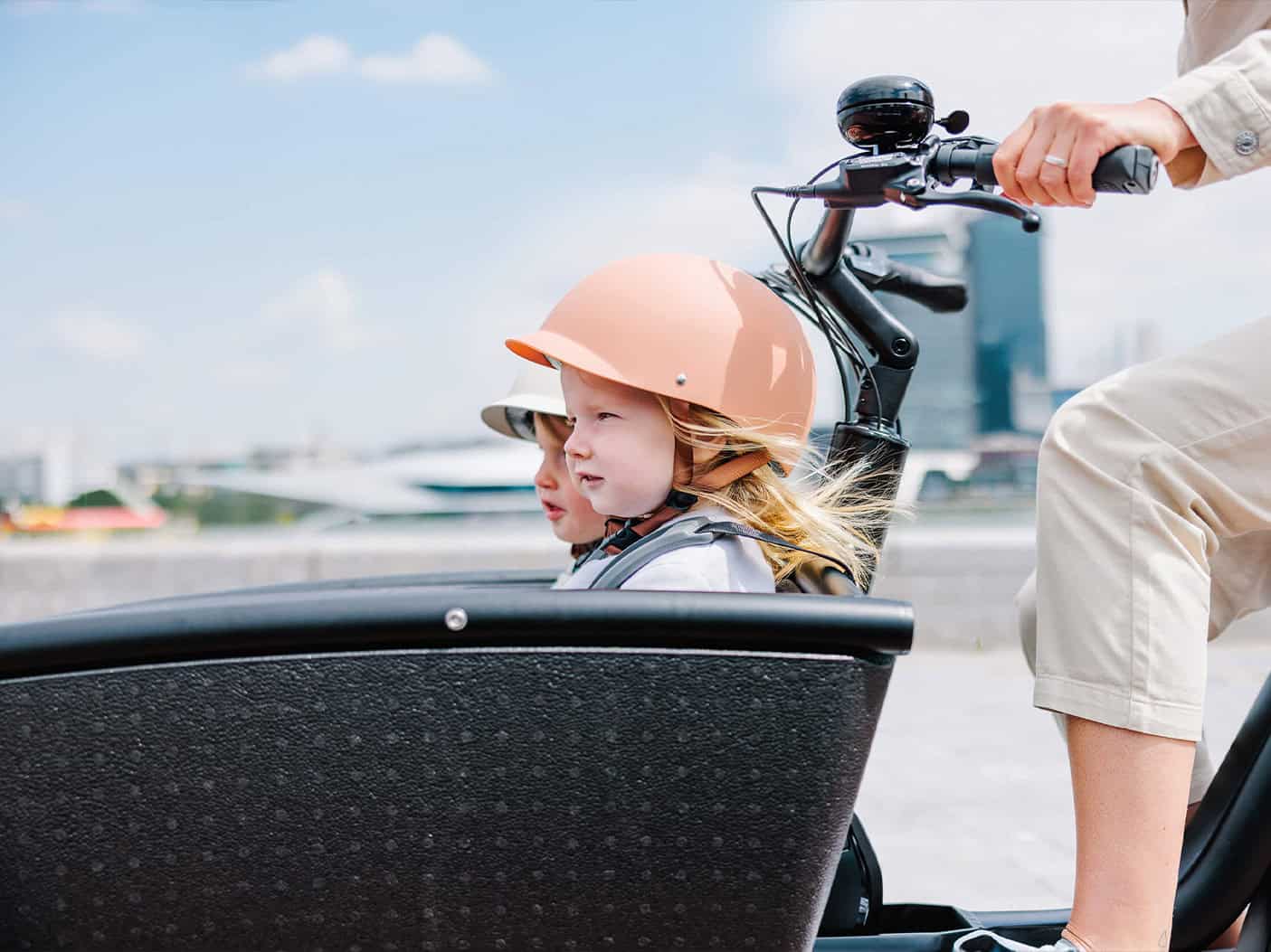 Urban Arrow Family bakfiets