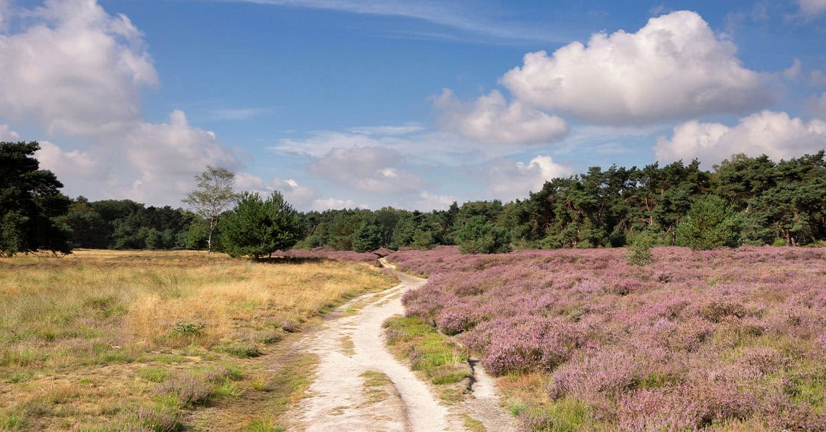 Fietsroutes Nederland