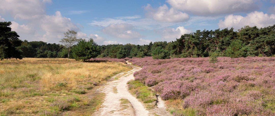 Fietsroutes Nederland