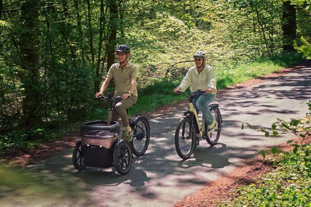 vanRaam Thuja driewielfiets
