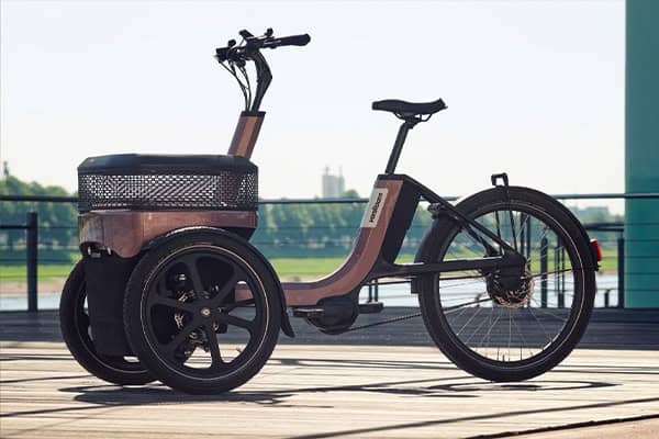 vanRaam Thuja, uniek design