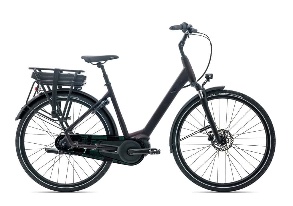 Giant Entour Cordovan