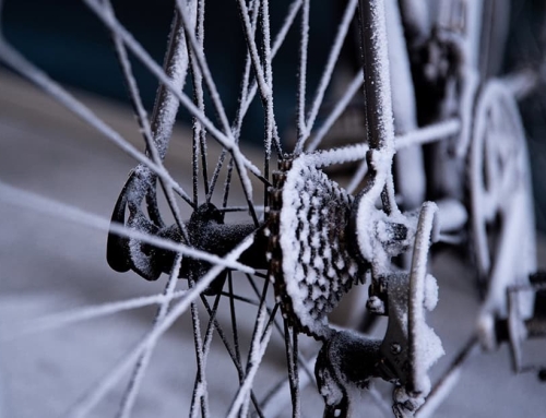 Winteractie: gratis haal- en brengservice bij onderhoud