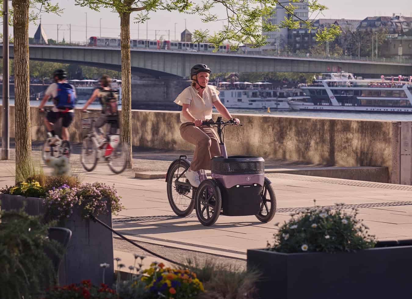 vanRaam Thuja driewielfiets