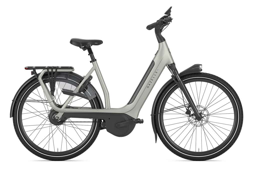 Gazelle Avignon