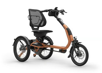 vanRaam Easy Rider Compact+